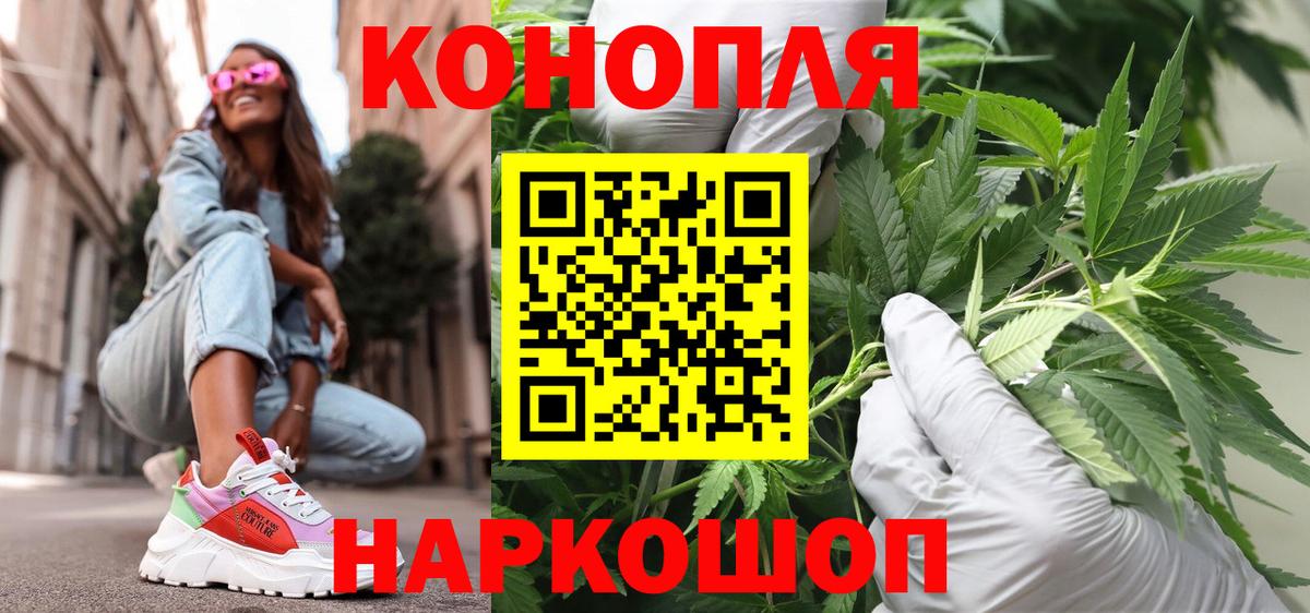Бошки марихуана план  Бошки Шишки Bruce Banner  Краснознаменск  Канабис OG Kush  Вход с VPN 
